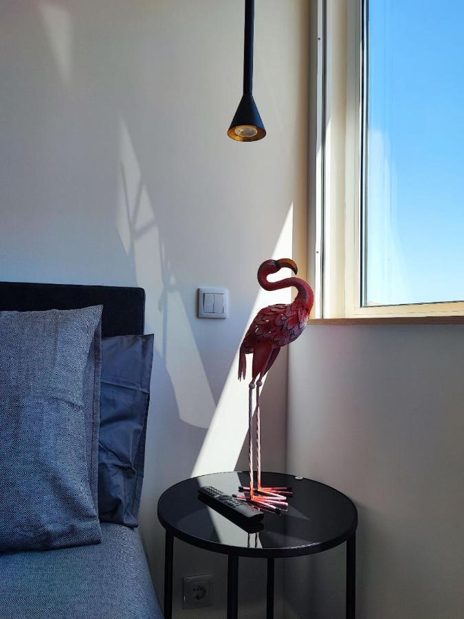 O Flamingo Apartments Ovar Eksteriør bilde