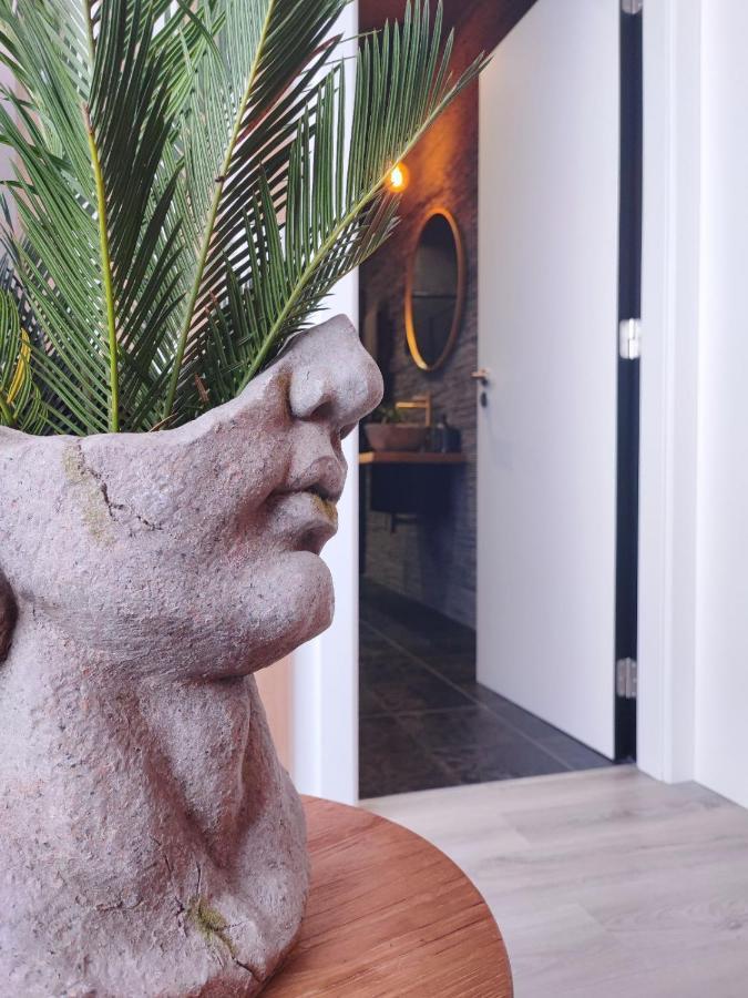 O Flamingo Apartments Ovar Eksteriør bilde